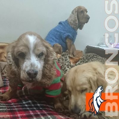 AlanSSG's profile picture. 