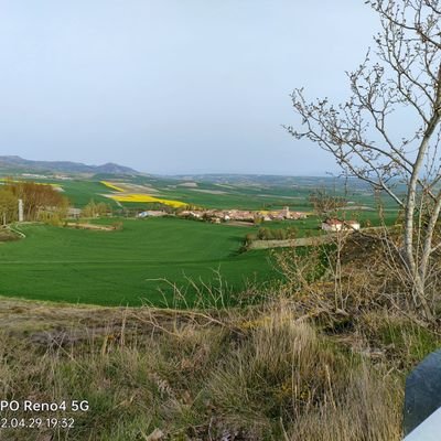 SaraCameno's profile picture. impresionante