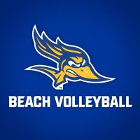 CSUB Beach(@csub_beach) 's Twitter Profileg