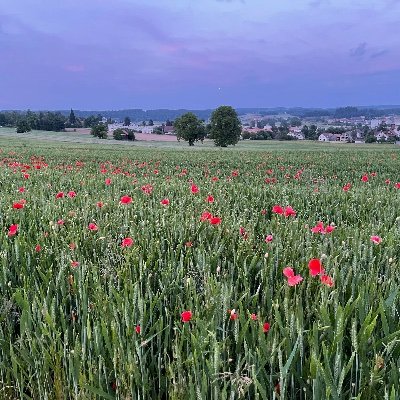 Ehemann, fünffacher Bubenvater, Lern- und Lesebegeisterter