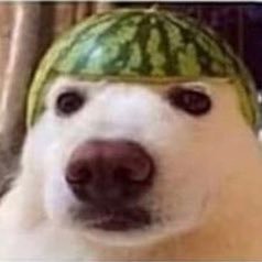 4IfReD0's profile picture. .