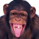 . - @GeorgiaDevlin - Twitter