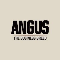 American Angus Association (@angusassoc) 's Twitter Profile