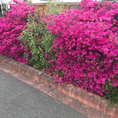 seftop's profile picture. Retired from the Care Industry. MSM worries me with their selective reporting. Question everything. No DMs