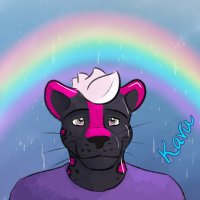 Kavu Kitten(@KavuKitten) 's Twitter Profile Photo