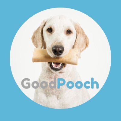 Sharing Happy Dog Rescue & Adoption Stories! You Can Share YOUR Dog's Rescue or Adoption Story Here: https://t.co/6BYigKjKxL