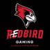 Redbird Gaming (@redbirdgamingil) Twitter profile photo Redbird Gaming (@redbirdgamingil) Twitter profile photo