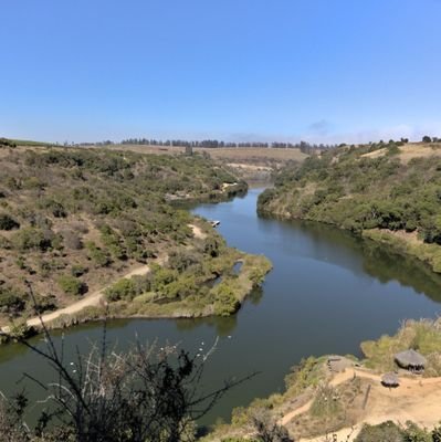 isadelv7's profile picture. Saber rompe cadenas