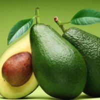 Sağlıklı Bitkiler (@sagliklibitkile) Twitter profile photo