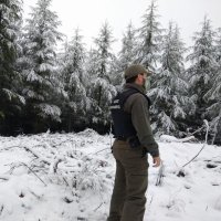 Arbutus unedo (@asempervirens) 's Twitter Profile