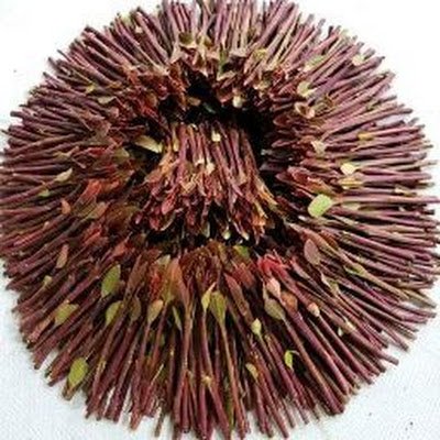 ZakariaAls24138's profile picture. 