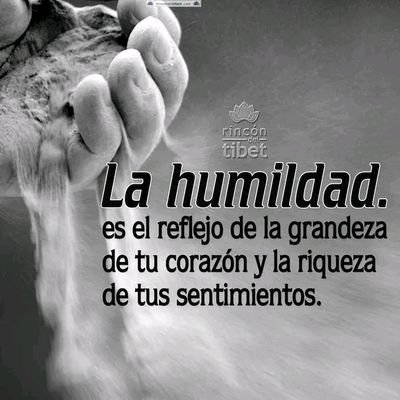 Osiel809's profile picture. 