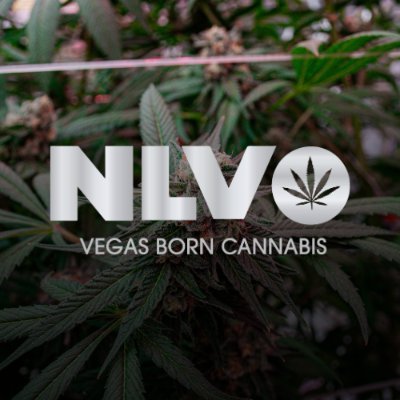 Vegas Born Cannabis 🎰| 🏆 Award Winning Flower, Prerolls, & Concentrates | 🚫 Nothing For Sale | 🔞 Must Be 21 Years Age or Older