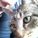 Esther Koch - @HepzibahJoan - Twitter