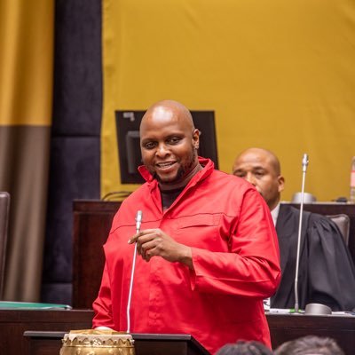 Activist. Believes in Dialectical Materialism & Labour Theory of Value. Heterodox. Provocative. EFF Deputy President. Blessed. MP. Todo por la revolución!