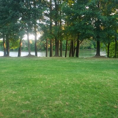 lowder21's profile picture. 