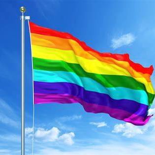 katsmeow62's profile picture. 