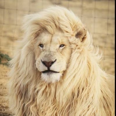 i_consequence's profile picture. Creatio ex-Nihilio