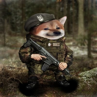 Adasheh86's profile picture. Nie lubię politykujących żołnierzy i żołnierzujących polityków. Nie ma partii na którą bym teraz zagłosował, ale najbardziej NIE zagłosuje na konfederację.