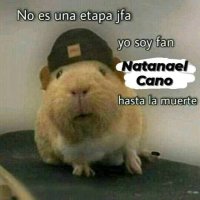 Natamontana(@angeldos444) 's Twitter Profile Photo
