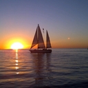 Steve Archibald - @SKArchibald - Twitter