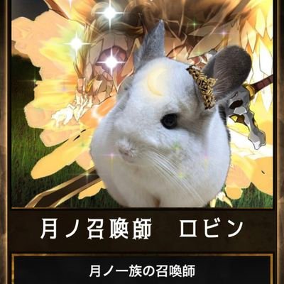 ♥チンチラのロビン♀♥
🎂2020.7.10
チンチラ専用アカウント、マイペースにのせまぁす❣️