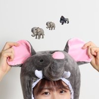 うめ参号機🏹🐯🐘*。 (@ume_robocon) 's Twitter Profile