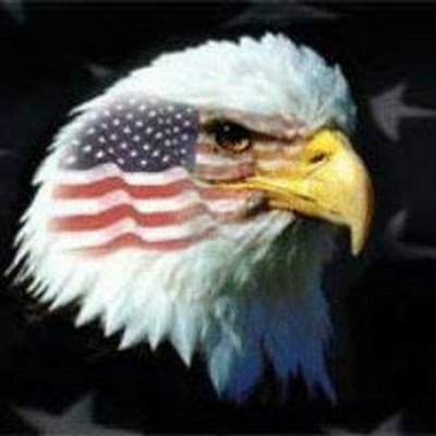 MichaelWeb1395's profile picture. 
