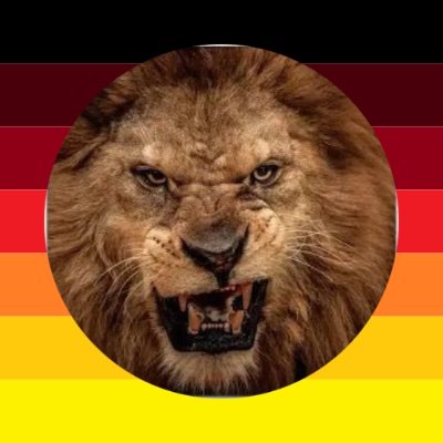 Freiheit - Recht - Nationalstaat 🇩🇪 Dem Deutschen Volke Panem et circenses 👊