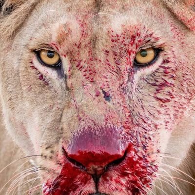 kalyan_jee1's profile picture. 