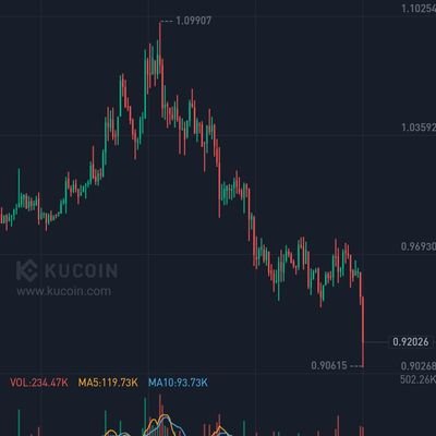 notfear014's profile picture. 