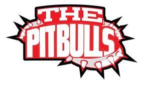 THE BIG DAWG PITBULLS!! WE ARE THE WORLDS BIGGEST & BEST DJ CREW, CREATED BY @FUNKMASTERFLEX!!!!!