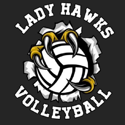 birdvillevball Profile Picture