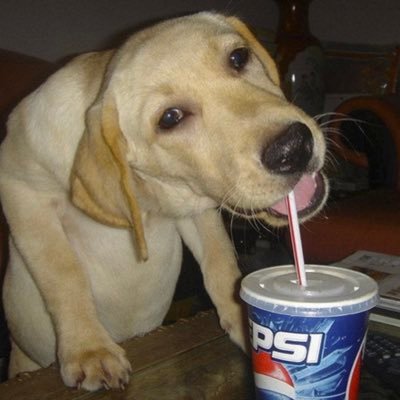boybloggr and black coffee enthusiast❕ugw - 65lbs❕ifb :3