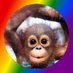 Cuddlemonkey (@kid_monkey) Twitter profile photo Cuddlemonkey (@kid_monkey) Twitter profile photo