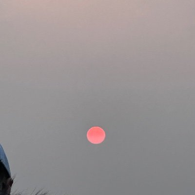 yhyh22223's profile picture. 