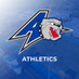 Asheville Athletics (@UNCAvlBulldogs) Twitter profile photo