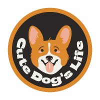 Cute Dog's Life(@cutedogslife365) 's Twitter Profile Photo