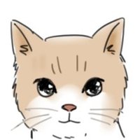 凝胶蛋黄 (@tama_bakuhaci) 's Twitter Profile Photo 凝胶蛋黄 (@tama_bakuhaci) 's Twitter Profile Photo