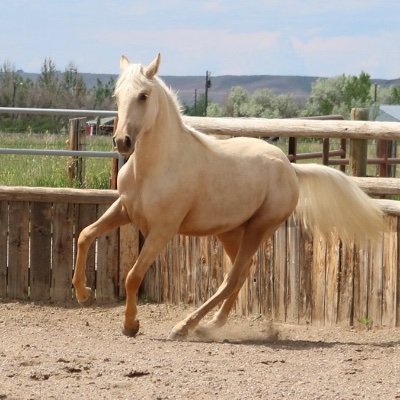 Shelby08119772's profile picture. ✝️🇺🇸
Freedom is not Free