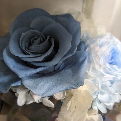 marunchanzx's profile picture. 新高１生のお子さんの教育情報を眺めつつ、雑多な生活をメインに呟くアカウント。ざっくばらんすぎるので🗝運用ですが、フォローもお気軽に。公開アカウント（@brandnewmarun）もよろしくお願いします。うっかり誤タップ属です、本当に申し訳ございません。
