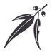 National Trust of Australia (Queensland) (@nta_qld) Twitter profile photo National Trust of Australia (Queensland) (@nta_qld) Twitter profile photo