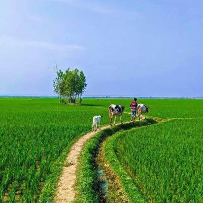 নীরবতা পৃথিবীর সবচেয়ে বড় চিৎকার যেটা বুঝার ক্ষমতা সবার থাকে না।