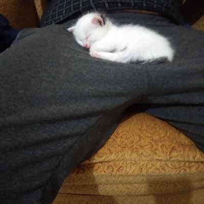 denizisk's profile picture. 🟢دېڭىز❤️