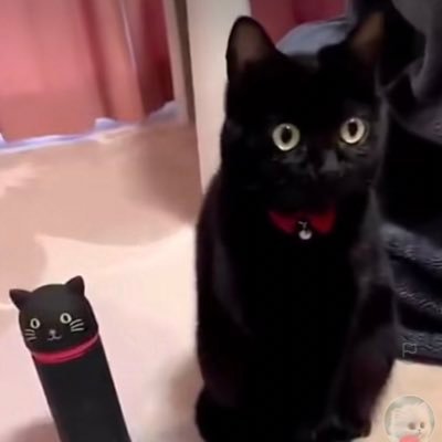 skellymafia's profile picture. Unbothered in my lane