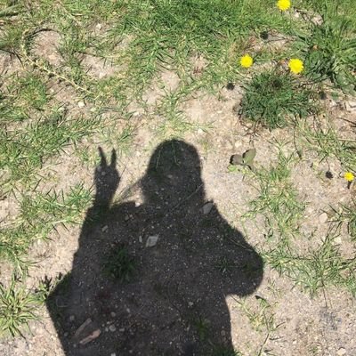 Todoonada07's profile picture. 