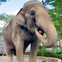 宇都宮動物園【公式】(@utsunomiya_zoo) 's Twitter Profile Photo