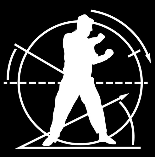 CombatLab1's profile picture. life long martial artist and coach.