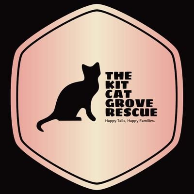 We are a Florida based rescue, advocating for the rights of all animals, and finding furbabies their forever homes!