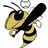 LadyJacketSball's profile image